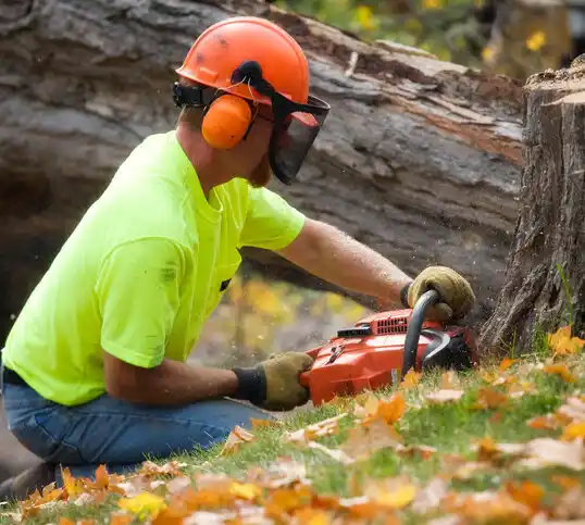 tree services Alamogordo